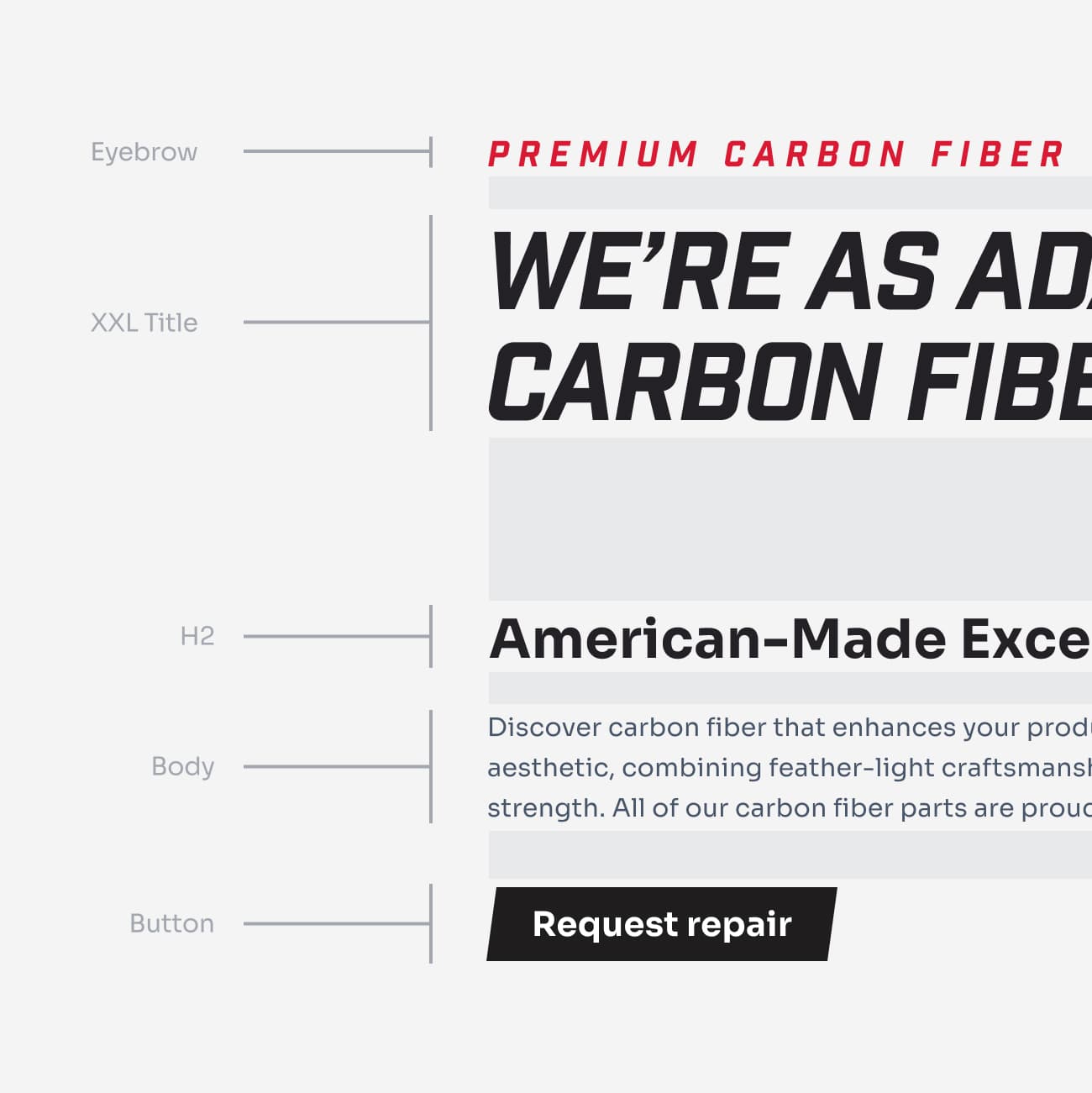 Typography hierarchy samples used in Carbon Tech Pro brand design